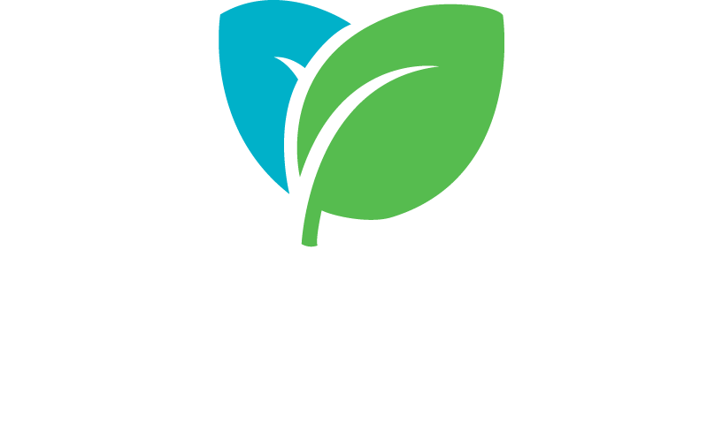 Logo Bluepack